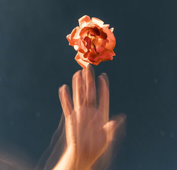 certificazione parità di genere cogliere