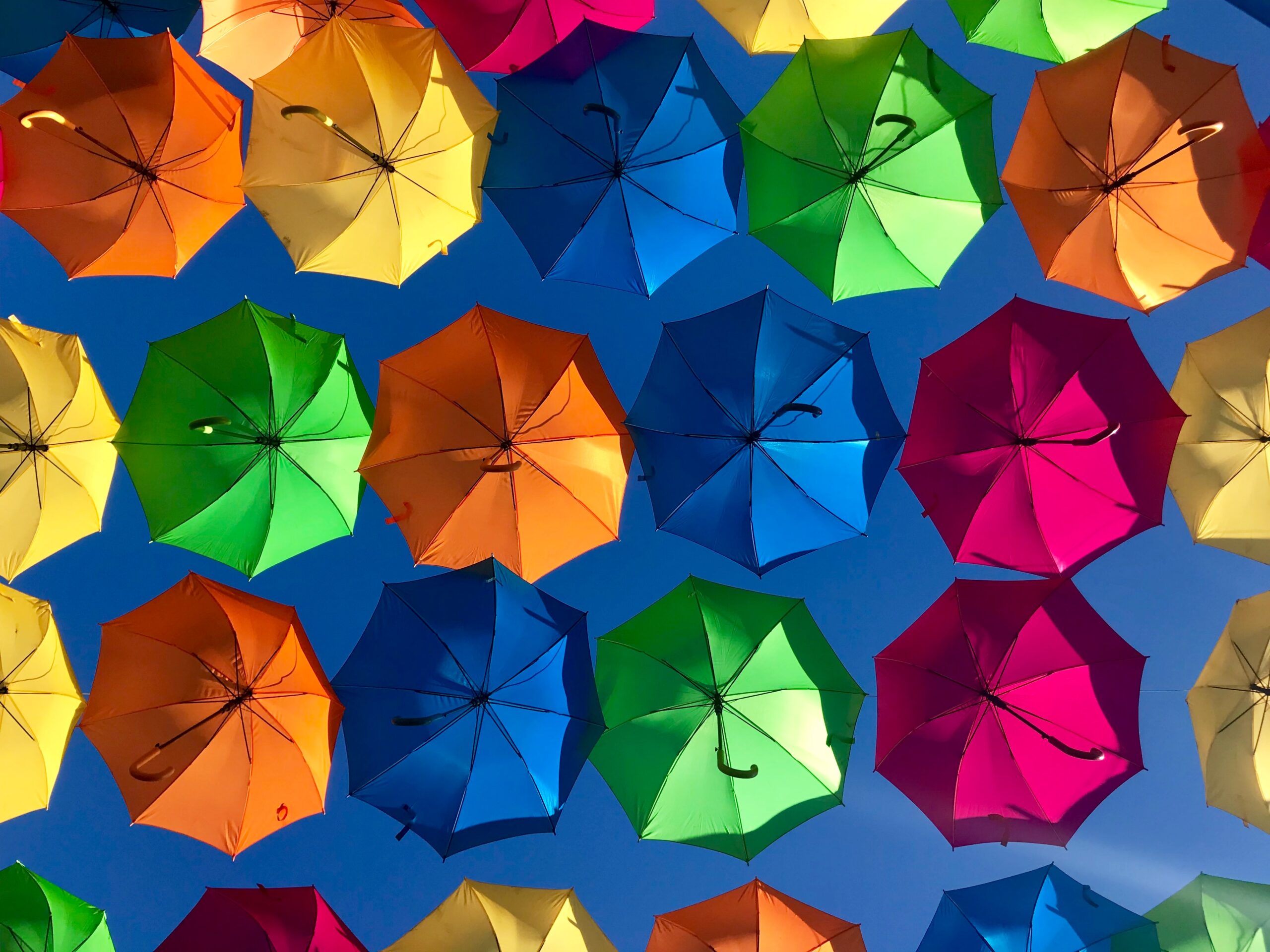 Certificazione di genere: obbligo o scelta consapevole?